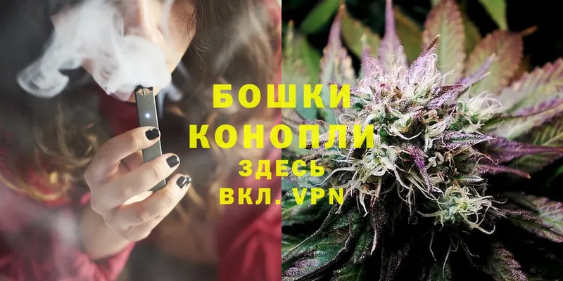 Бошки Шишки OG Kush  цена   Поворино 